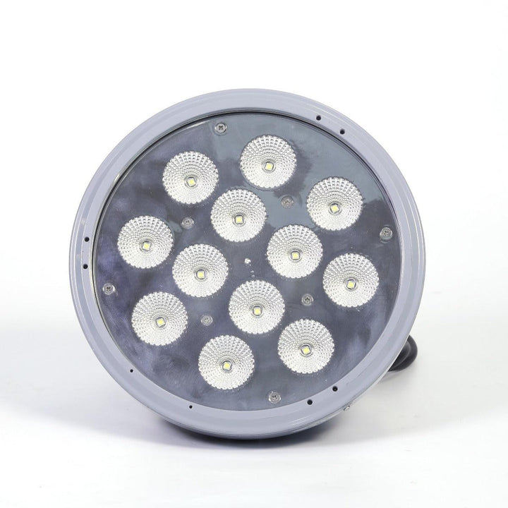 LED ATEX Series 4 light