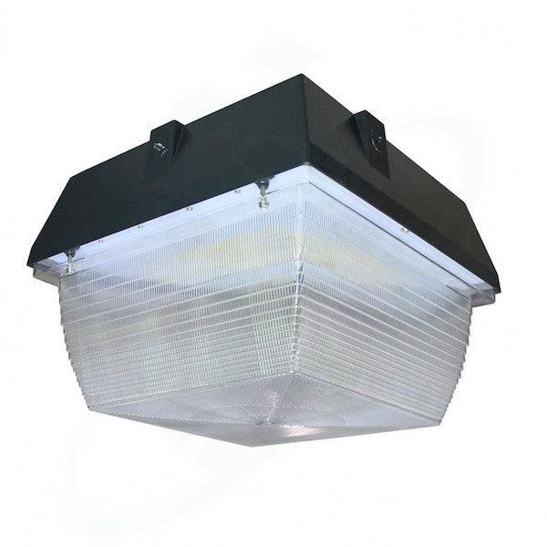 20 to 60-watt Canopy Light