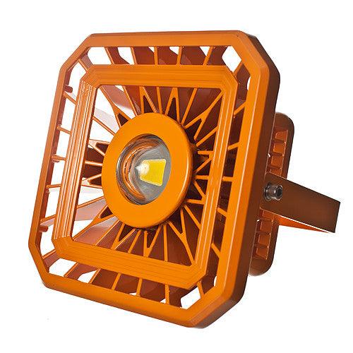 LED ATEX Series 2 light
