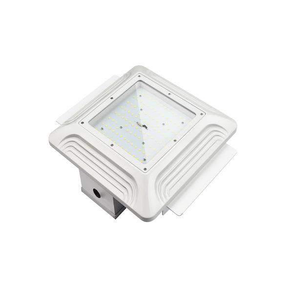 Front view of the Flush Canopy 40-100-watt light