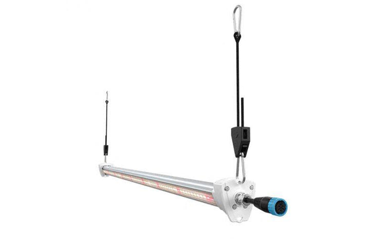 Hi grow 75 light