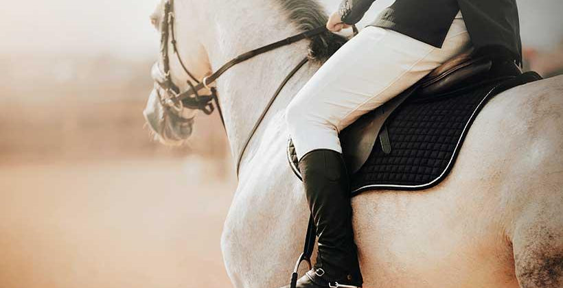 Lighting an equestrian centre arena