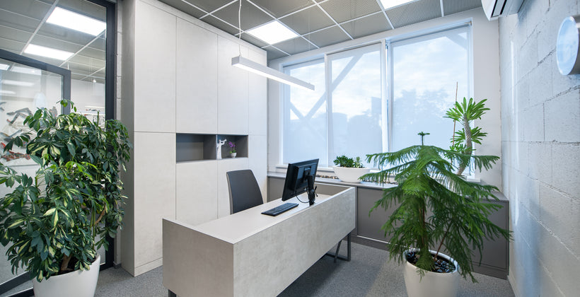 What Is The Best Lighting For An Office?