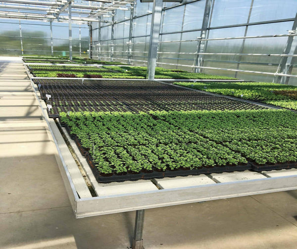LED grow lights - Wholesale - INUI